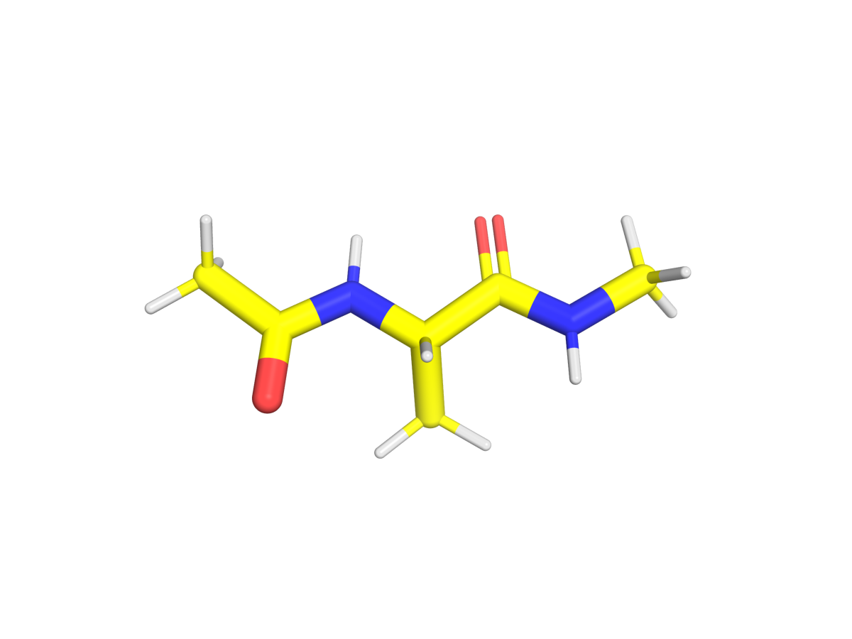 The alanine dipeptide