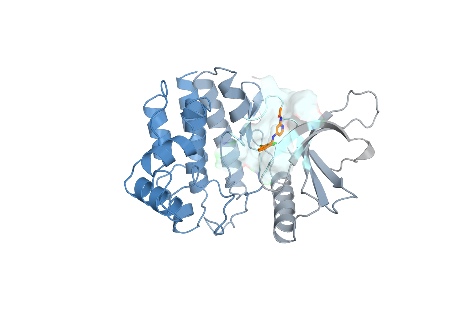 The TYK2 kinase domain with ejm_31 bound in the ATP site