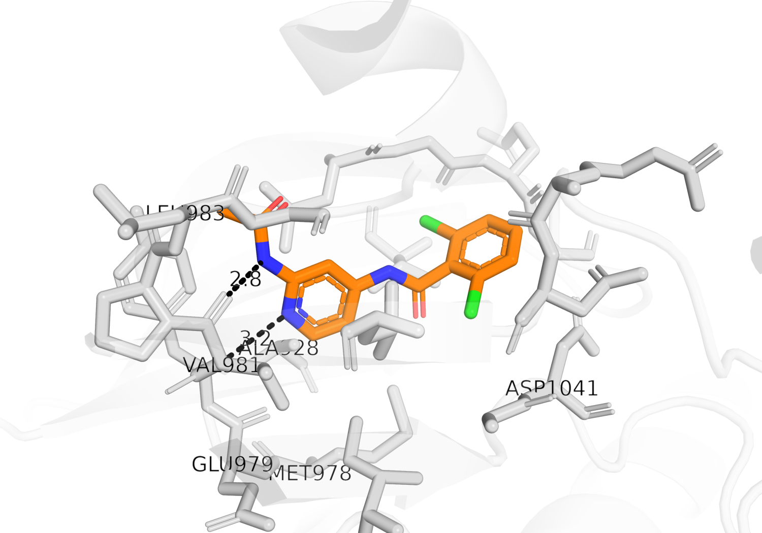 The ATP site, with the hinge hydrogen bonds to Val981